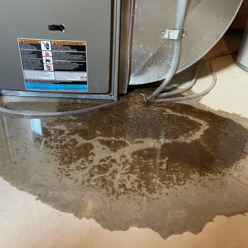 Appliance Leak Cleanup in Ely, NV